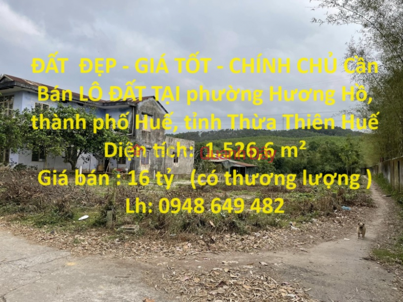 BEAUTIFUL LAND - GOOD PRICE - OWNER FOR SALE LAND LOT IN Huong Ho Ward, Huong Tra, Thua Thien Hue Sales Listings