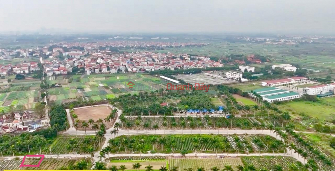 Beautiful Land - Good Price - Owner Needs to Sell Villa Land Lot BT2.09 Hoang Van, Tien Phong Commune, Me Linh District, Ha City Sales Listings