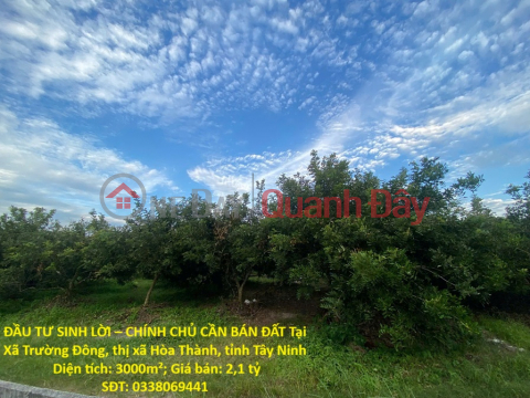 ĐẦU TƯ SINH LỜI – CHÍNH CHỦ CẦN BÁN ĐẤT Tại Xã Trường Đông, thị xã Hòa Thành, tỉnh Tây Ninh _0