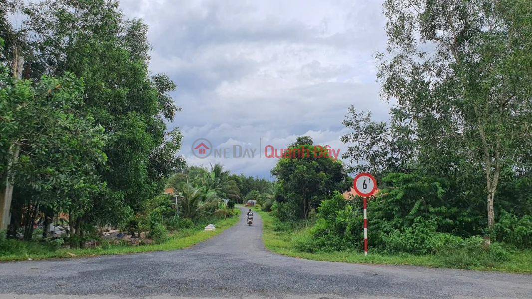 Property Search Vietnam | OneDay | Residential Sales Listings, OWNER Sells Land, Beautiful Location In Don Thuan Commune, Trang Bang Town, Tay Ninh Province