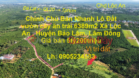 Chính Chủ Bán Nhanh Lô Đất vườn cây ăn trái 6389m2 Xã Lộc An , Huyện Bảo Lâm, Lâm Đồng _0