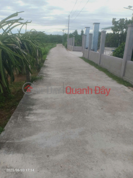 Urgent sale of concrete frontage land in Lam Giao quarter - Ma Lam - Ham Thuan Bac - Lam Dong Sales Listings