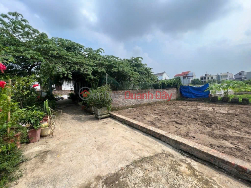 Chỉ 3,15 TỶ - sở hữu lô đất 52M2 thôn Ấp Tre mặt tiền 6M khủng - sát KCN Quang Minh, Việt Nam Bán | đ 3,15 tỷ