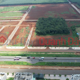 Dau Giay land for sale only 1.95 billion\/plot - Full residential land, clear legal status _0