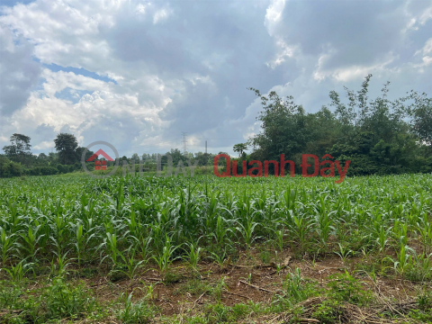 LAND LOT IN GOOD LOCATION - GOOD PRICE in Bau Can commune, Long Thanh district, Dong Nai province _0