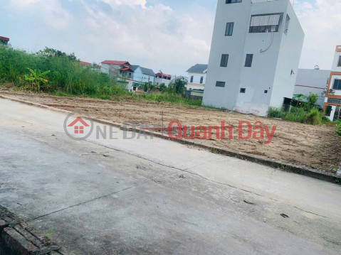 Land for sale in group 9, Quang Minh town, Me Linh. Near industrial park and Tue Tinh Medical and Pharmaceutical College. _0