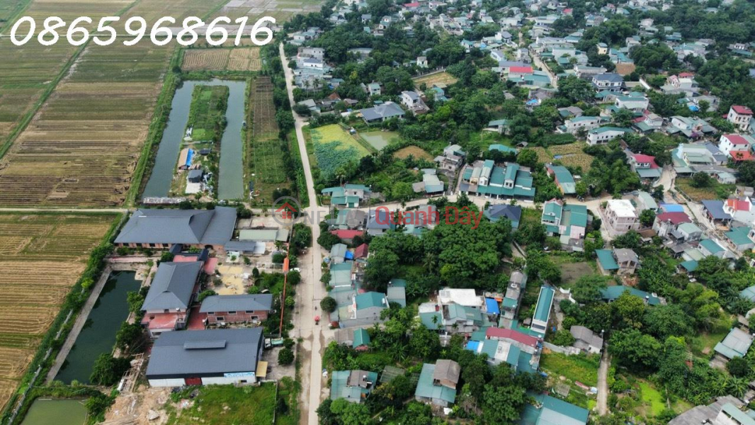 Transfer of VietGap safe agricultural project in Kim Phu, Tuyen Quang City (close to DanKo Kim Phu Urban Area) | Vietnam | Sales | đ 39 Billion