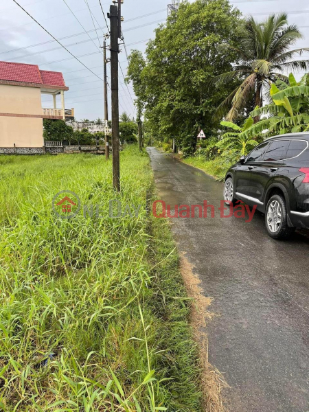 Property Search Vietnam | OneDay | Residential Sales Listings, BEAUTIFUL LAND - GOOD PRICE - FULL RESIDENTIAL Land Lot For Sale In Thanh Duc - Ben Luc - Long An