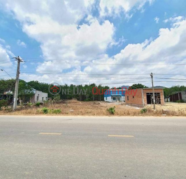 Need money to sell urgently Lot of land in front of DT 720 street (or National Highway 55),Gia Huynh commune, Tanh Linh district, Binh Thuan province Sales Listings