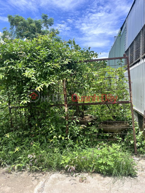 SIÊU RẺ – LÔ ĐẤT KIỆT 5M ĐƯỜNG ĐÀ SƠN 2 – 120m², GIÁ CHỈ 2,25 TỶ _0