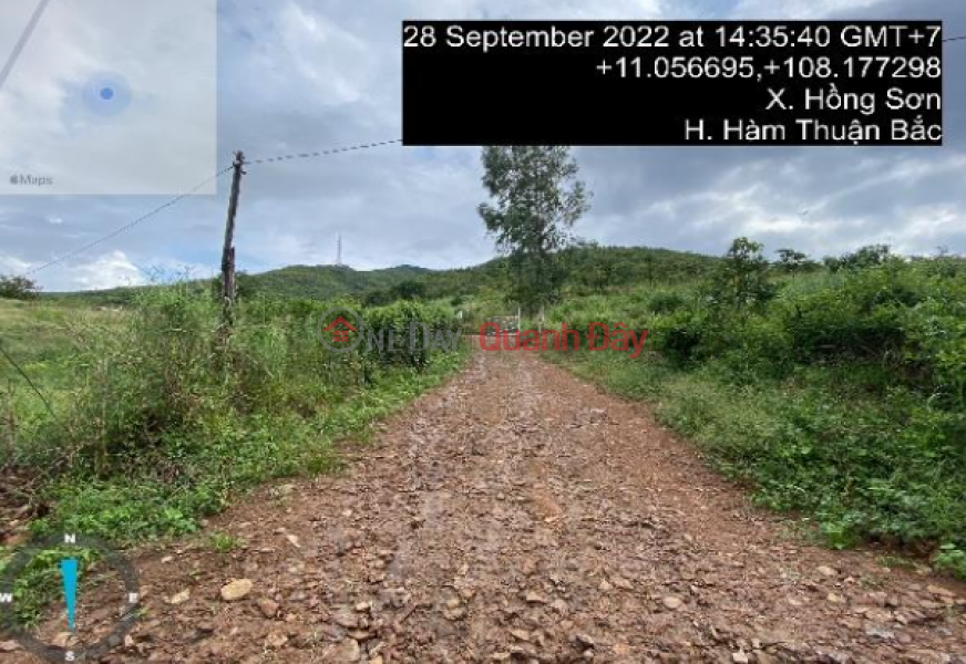 Land for sale in Binh Thuan, 11,591m2 - profitable investment opportunity - development potential Sales Listings