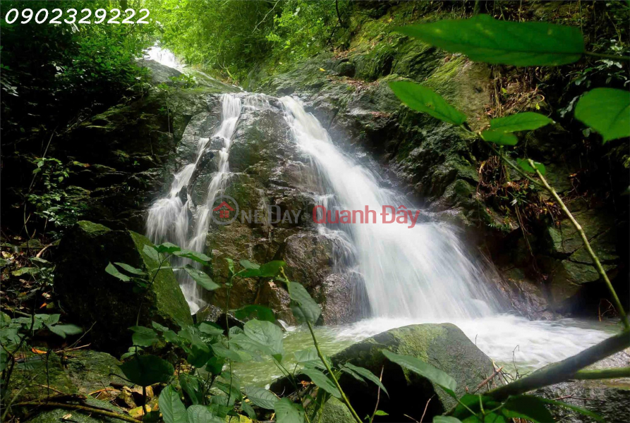 đ 3 Billion, Land for Sale at Cam Mountain, An Hao Commune, Tinh Bien District, Area 9093 M2, Adjacent to Otuksa Stream