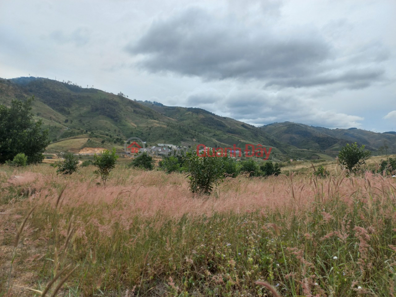 THE OWNER SELLING POT OF LAND FOR PANG TIEN STREET 726 Sales Listings