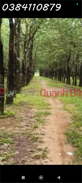 Property Search Vietnam | OneDay | Residential Sales Listings 320 hectares of land with strong revenue potential seeking investors.<br \\/> The actual area is 320 hectares.<br \\/> There are 100