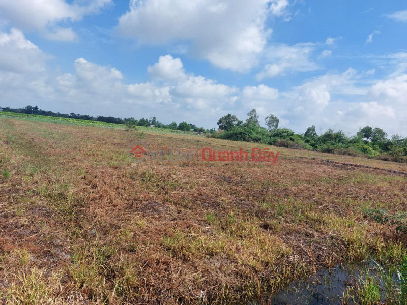 Property Search Vietnam | OneDay | Residential Sales Listings Own 02 Adjacent Land Lots With Beautiful Location In Lai Vung, Dong Thap