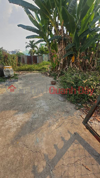 Property Search Vietnam | OneDay | Nhà ở, Niêm yết bán Đất trung tâm Q12 An Phú Đông 14x22 giá 5.x tỷ