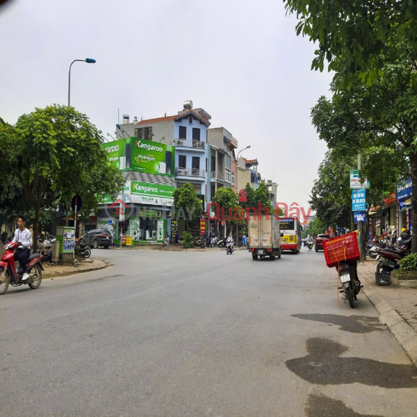 Land for sale at Cuu Viet Residential Area, Trau Quy, Gia Lam. 77m2, frontage 4.5m, road for 7-seat cars. Contact 0989894845 Sales Listings