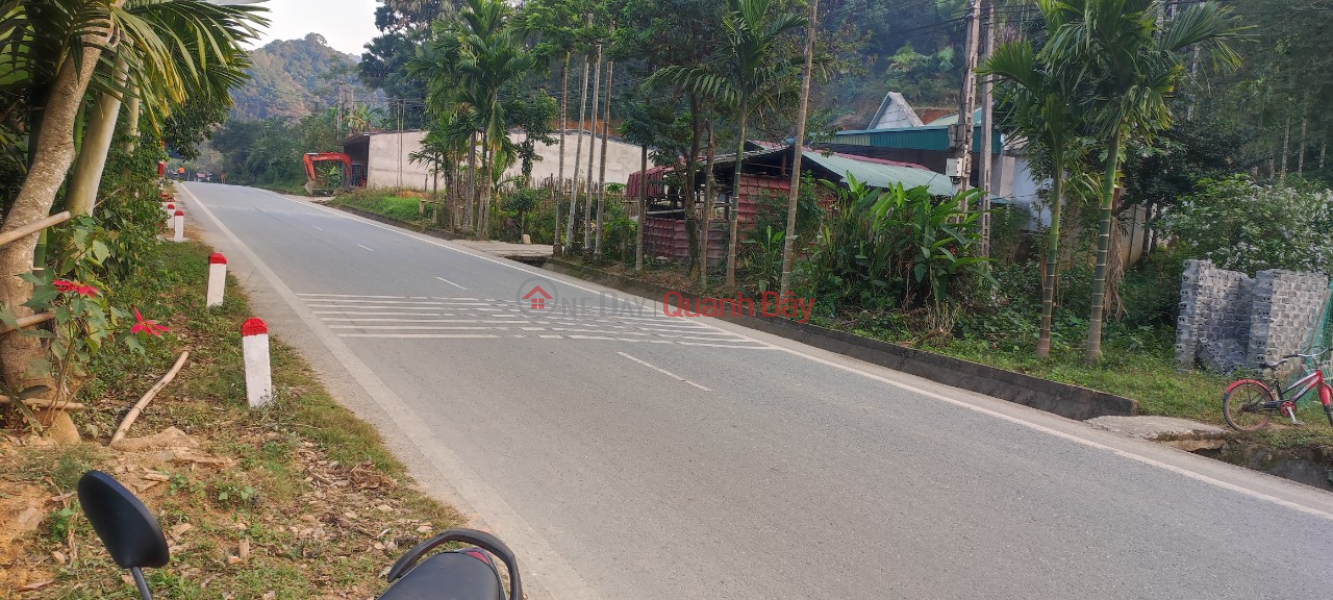 ₫ 279 Million FOR SALE 2 CHEAP LAND Lots with super profit potential X2,X3 At Highway 217, Trung Ha, Quan Son, Thanh Hoa