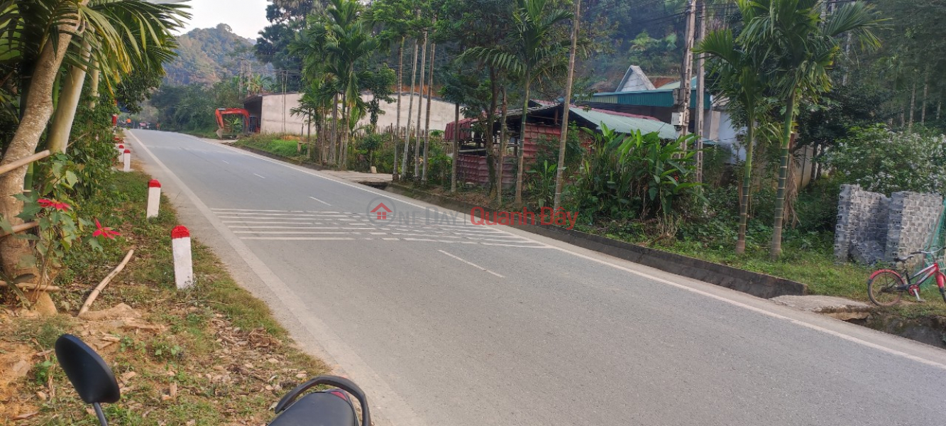 đ 279 Million | FOR SALE 2 CHEAP LAND Lots with super profit potential X2,X3 At Highway 217, Trung Ha, Quan Son, Thanh Hoa