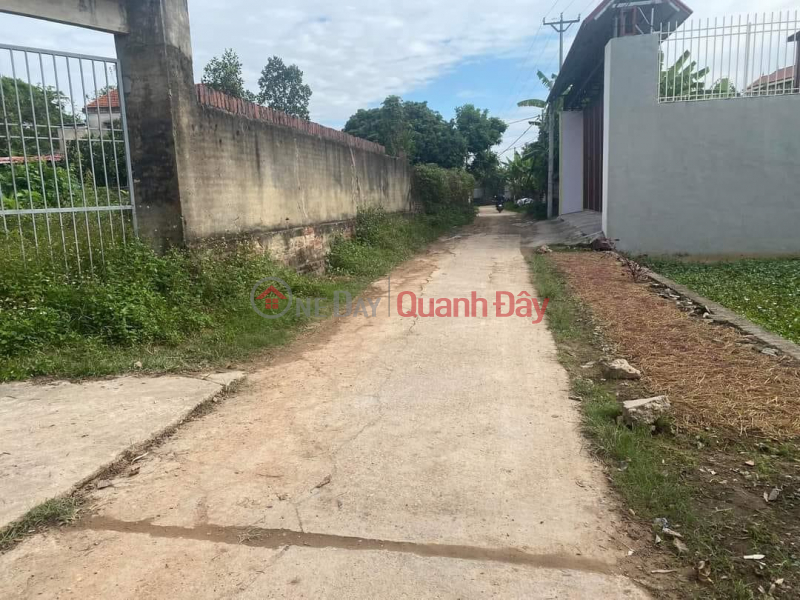 Only 200m from National Highway 3. Selling immediately 80m2 in Huong Ninh - Hong Ky - Soc Son - Hanoi. Price 6xx million Sales Listings