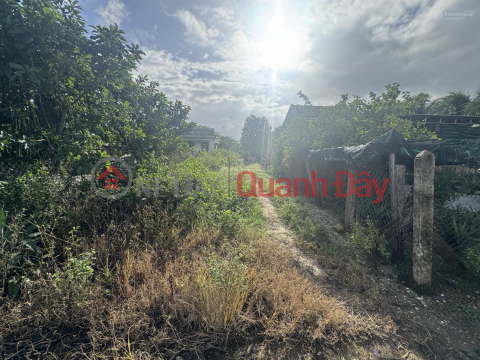 OWNER SELLING 231.2M2 LAND WITH TITLE DEED, FRONTAGE ACCESSIBLE BY CAR IN NINH ICH-NINH AN _0