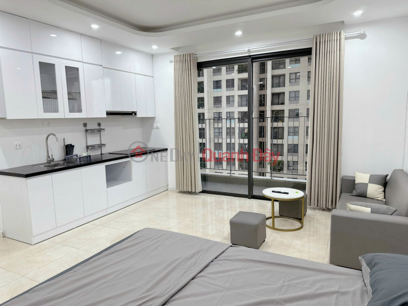 Studio apartment for rent, 38m2, Vinhomes D'Capitale - cool southeast facing, million-dollar lake view, fully furnished - 14.5 million VND/month Rental Listings