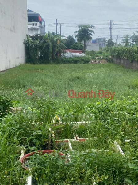 Land for sale in Phuc Thang, Phuc Yen, Vinh Phuc. Good location. Near Honda company and National Highway 2A. Sales Listings