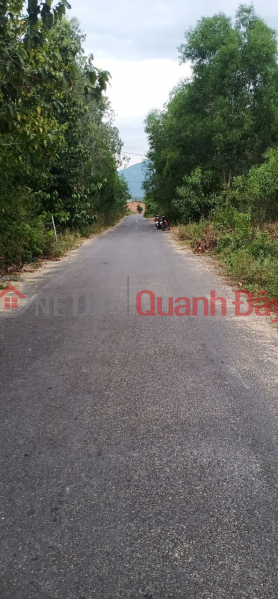 Property Search Vietnam | OneDay | Residential Sales Listings BEAUTIFUL LAND - GOOD PRICE Prime Location In Dien Binh Commune, Dien Khanh, Khanh Hoa