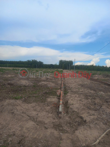 ĐẤT CHÍNH CHỦ - GIÁ TỐT CẦN BÁN GẤP ĐẤT ẤP 6, TÂN HIỆP, HỚN QUẢN – Bình Phước, Việt Nam Bán, đ 400 triệu