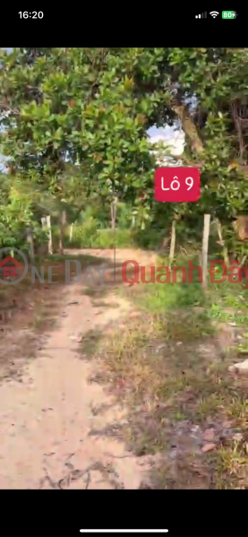 Property Search Vietnam | OneDay | Residential, Sales Listings, SELLING 500M2 OF LAND TO GIFT PRIVATE DUONG ON LAND IN Dak Lak For Only 96 Million