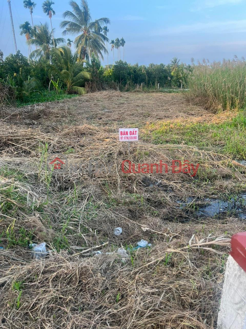 OWNER Urgently Needs To Sell Land In Truong Lac, O Mon, Investment Price _0