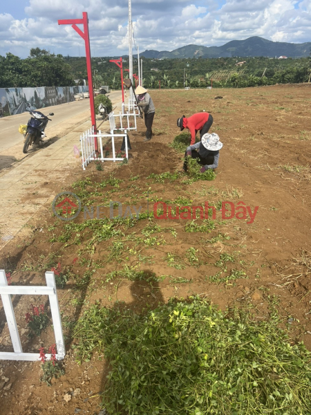 Property Search Vietnam | OneDay | Residential, Sales Listings, Urgent sale of land plot 120m2 residential right in KND GREEN VILLAGE - LOC DUC - BAO LOC - 400 million SHR