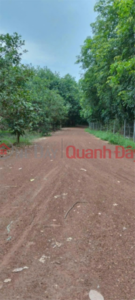 Beautiful Land - good price Owner needs to quickly sell land plot in Dong Xoai City, Binh Phuoc Province, Vietnam Sales đ 8.96 Billion