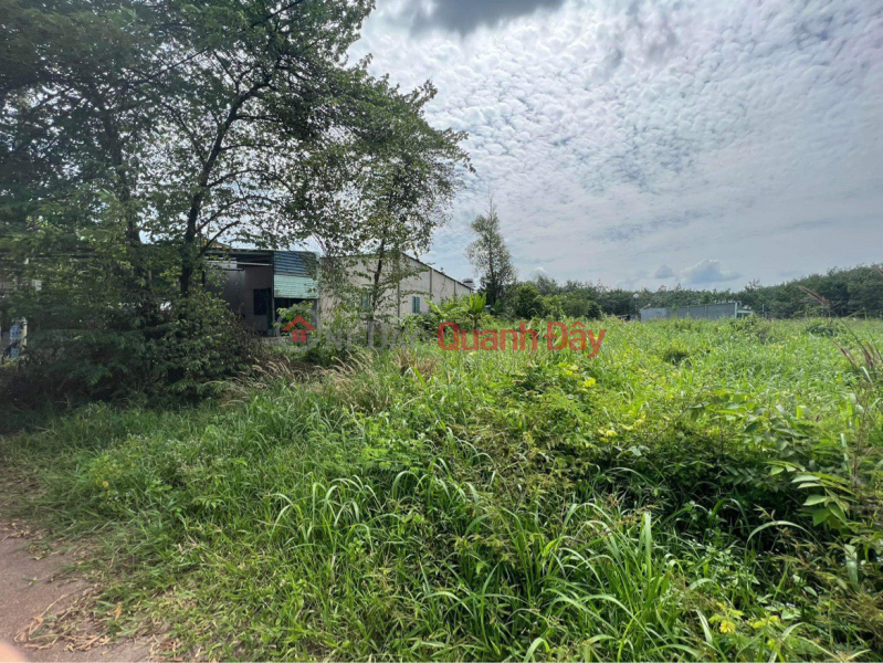 Land for sale in Tan Hung Bau Bang, Binh Duong, 350m2 residential area, priced at just over 1 billion, Vietnam, Sales | ₫ 1.9 Billion