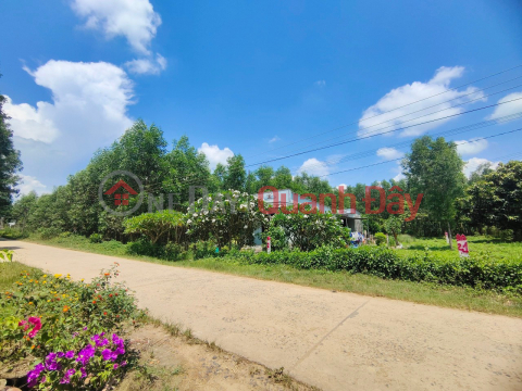 Land plot for sale in Dien Xuan commune, only 100m from Nhan Tam tourist area, area 340m2, price only 880 million _0