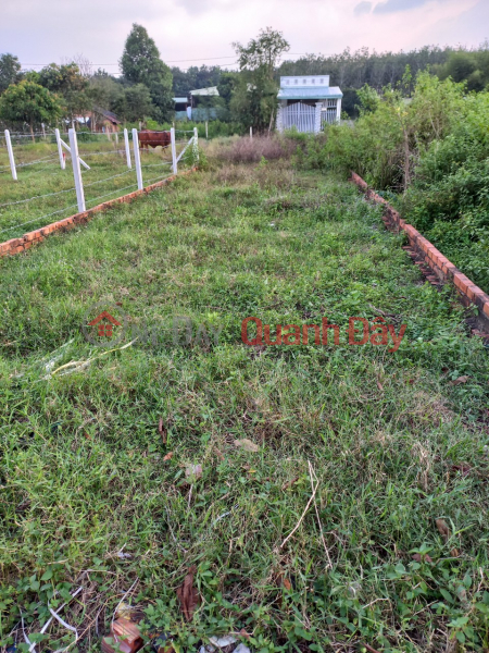 BEAUTIFUL LAND - GOOD PRICE - OWNERS Need to Sell Beautiful Land Plot Urgently Location in Cu Chi District, HCMC | Vietnam | Sales, ₫ 1.7 Billion