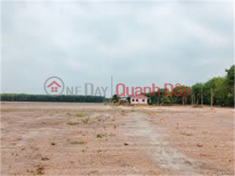 Selling 35ha of 50-year industrial land in Nam Sach Industrial Park, Hai Duong Province _0