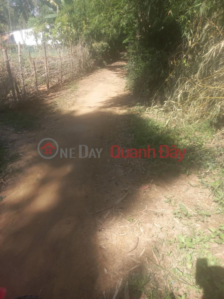 OWNER Urgently Needs To Sell Land Plot At Soc Ot Hamlet, Ngu Lac Commune, Duyen Hai, Tra Vinh Sales Listings