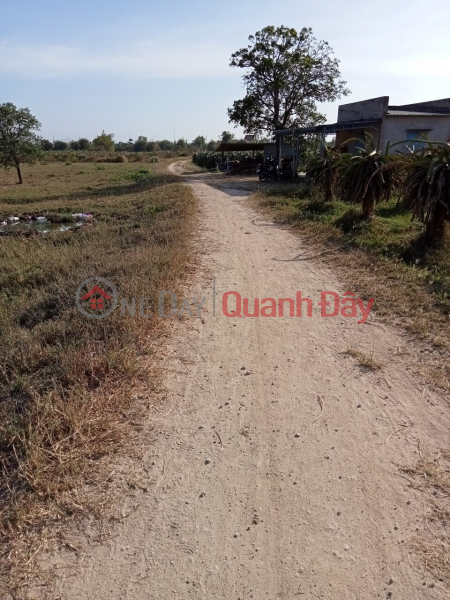 Property Search Vietnam | OneDay | Residential Sales Listings Owner Needs Urgent Sale of Land Lot Super Nice Location – Investment Price in Ham Hiep