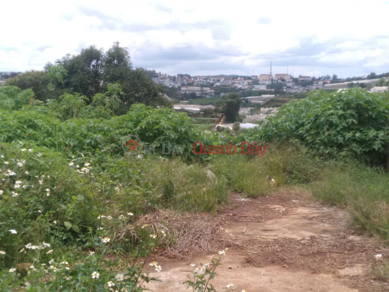 đ 630 triệu, Bán đất nn vạn thành đà lạt hơn nửa sào giá 10tr/m2