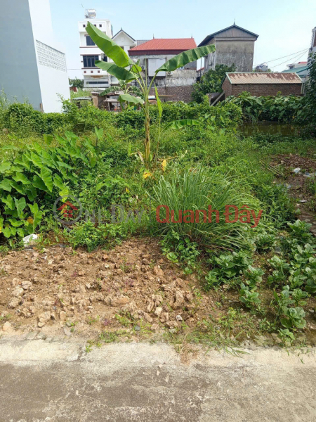 Property Search Vietnam | OneDay | Nhà ở, Niêm yết bán Bán đất thôn Ấp Tre (Tổ 9),Quang Minh, thành phố Hà Nội. Đường thông bàn cờ, oto đỗ