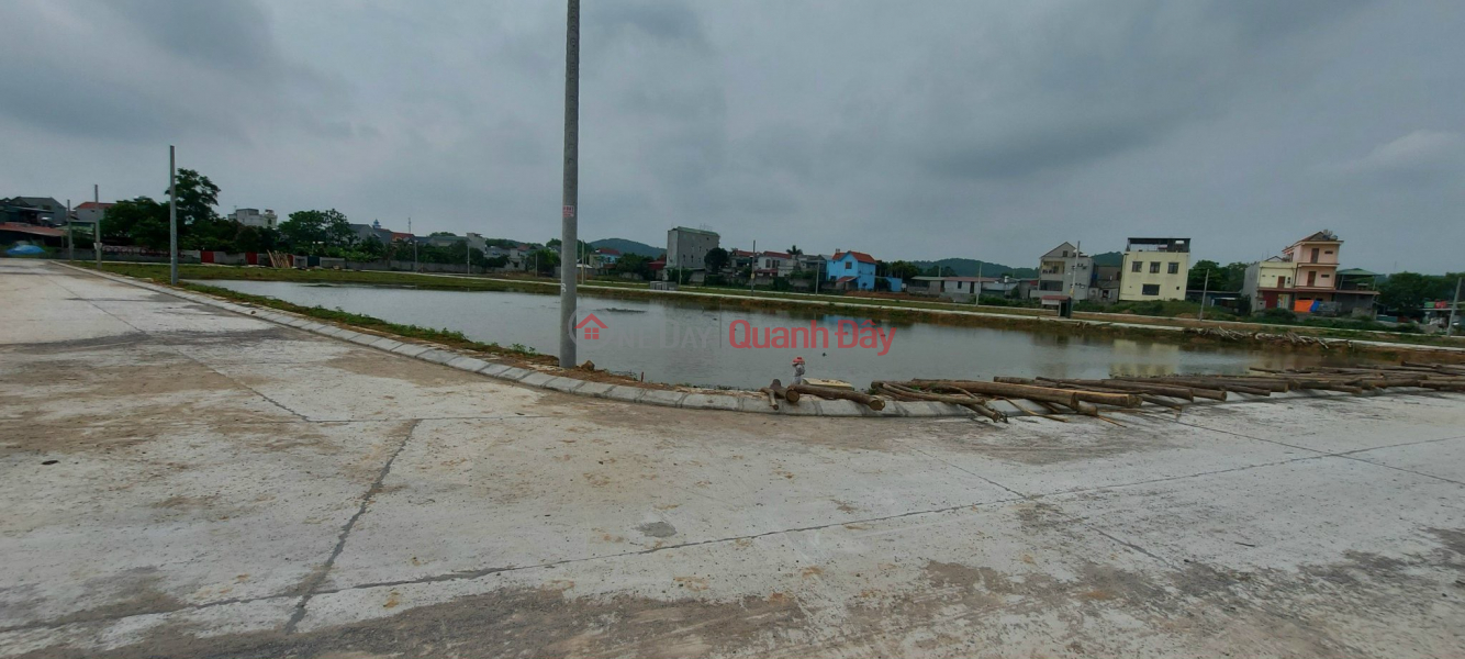 Property Search Vietnam | OneDay | Residential, Sales Listings, BEAUTIFUL LAND - GOOD PRICE - For Quick Sale Good Location Land Lot In Phu Loc Commune, Nho Quan District, Ninh Binh Province