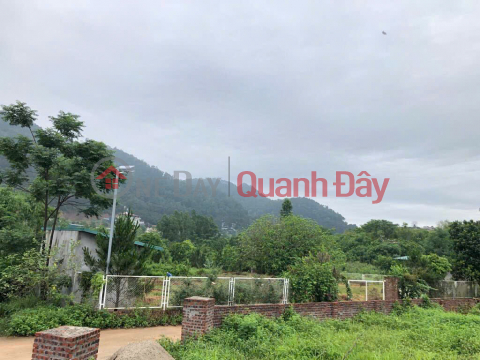 RARE! OWN A BEAUTIFUL LOT OF LAND - GOOD PRICE at Minh Phu Forest Farm, Soc Son, Hanoi _0