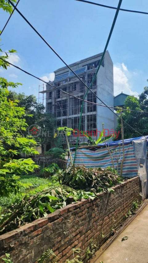 Bat Khoi house for sale, 31m2, 5 floors, frontage 4.9m, 4.15 billion, new-fully furnished, Long Bien. _0