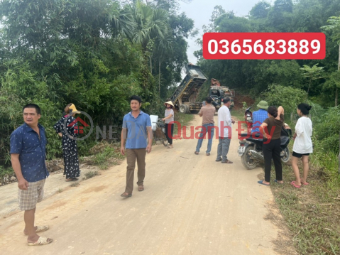 subdivision of land plot for residential area tho Binh million paint, area 200m2 _0