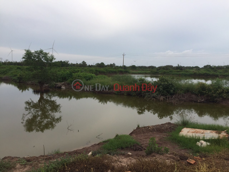 Shrimp pond land for sale includes: 35 workers. Price: 85 million/person. Vietnam | Sales, đ 2.98 Billion