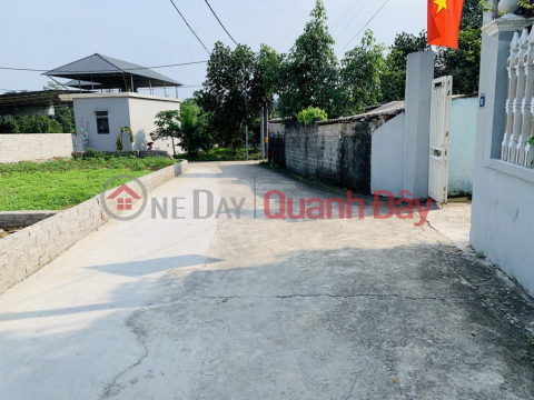 The owner sold the land in Son Dong, Son Tay, Hanoi for only 10 million\/m2 _0