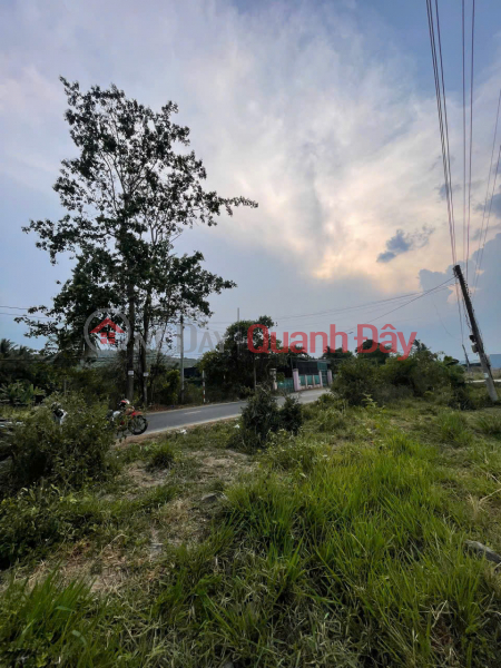 OWNER SELLS LAND ON THE STREET IN Diên Thọ COMMUNE, Diên Khánh, Khánh Hòa | Vietnam Sales | đ 1.6 Billion