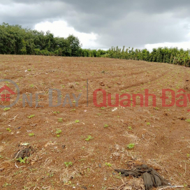 OWNER Urgently Needs To Sell Land Plot Prime Location In Bu Dop District, Binh Phuoc _0