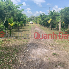 Selling 50,000m² of land in Tay Giang project, Tien Hai, Thai Binh - 18 billion, red book _0